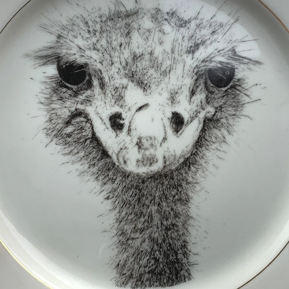Jean de Saint Pelle Ostrich‎ Bird Plate Collectible Home Decor